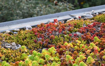 the cost of Reybridge green roof installation