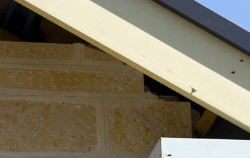 soffit repair Reybridge
