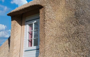 Reybridge thatch roof disadvantages