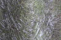 Reybridge fibreglass roof work